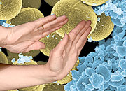 Microbes: Resistance is Futile