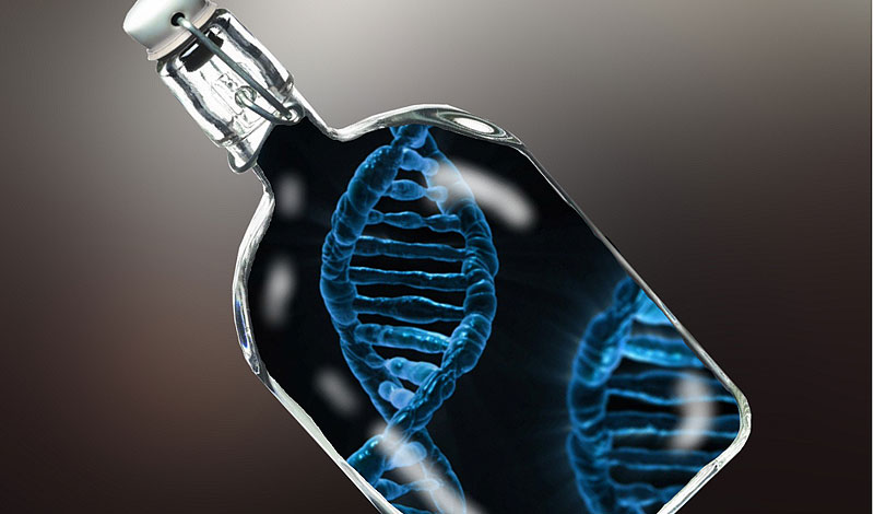 Gene-y in a Bottle