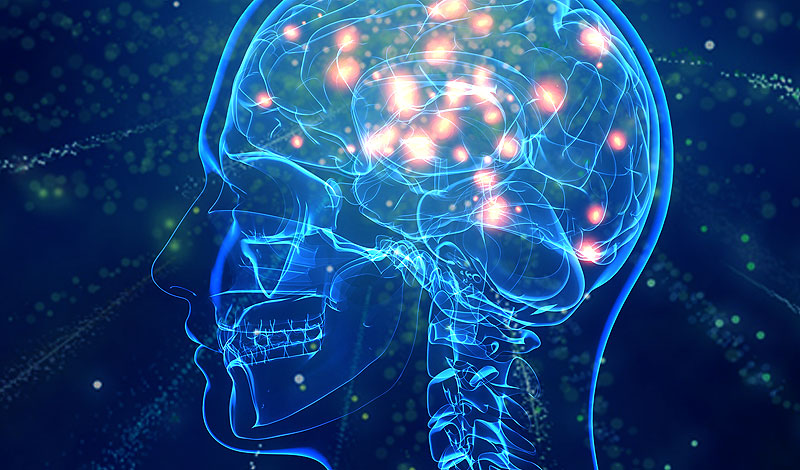 Polvo cerebral
