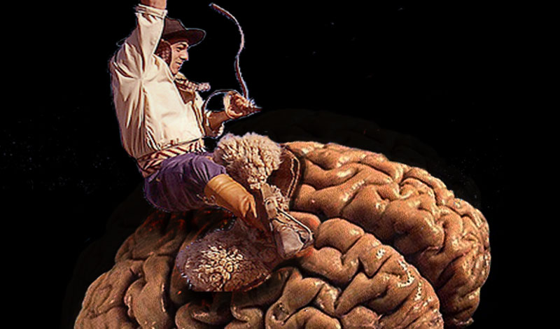 Your Brain’s Reins