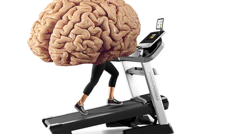 Skeptic Check: Brain Gain