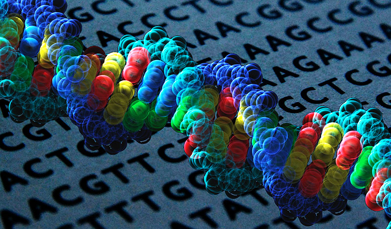 DNA: Nature’s Hard Drive