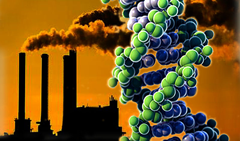 DNA is Not Destiny