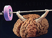 Building Better Brains
