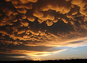 Skeptic Check: Climate Clamor