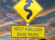 DNA: The Nucleotide Is Turning