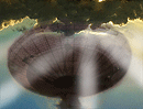 Skeptical Sunday: The Gospel According to SETI