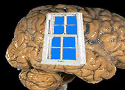 Skeptical Sunday: Meet a Psychic