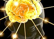 Skeptic Check: Mind Your Body