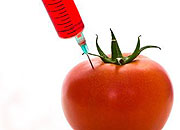 Skeptic Check: OMG, GMO?