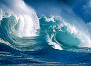 Seas the Moment