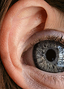 Senses Census