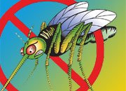 Bug Off!