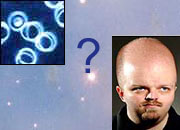 From Microbes to Mensa: What Life is Out There?