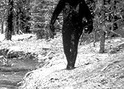 Skeptic Check: Monsters, Magic, and Music