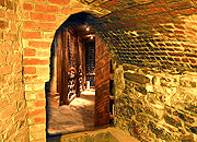 Seth’s Wine Cellar