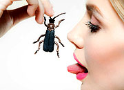The Pest of Us