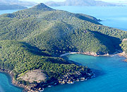 This Land Is Island
