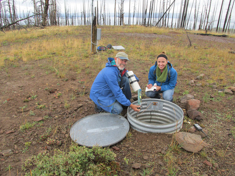 Could Seismic Networks Reveal Hard-to-Detect Nuclear Tests?