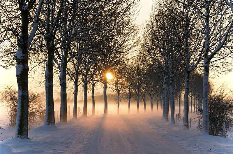 Andrew Fraknoi / Winter Solstice