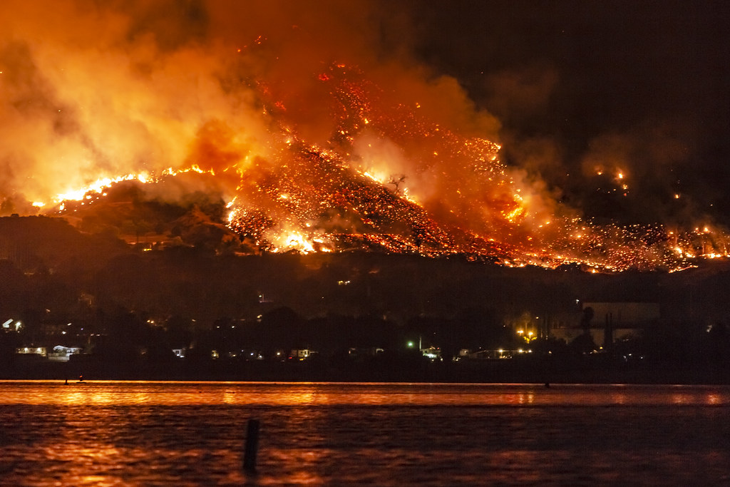 James Randerson / World Aflame