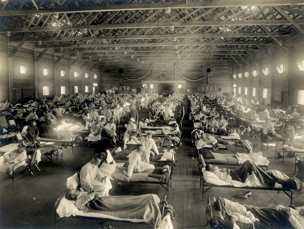 John Barry / Spanish Flu