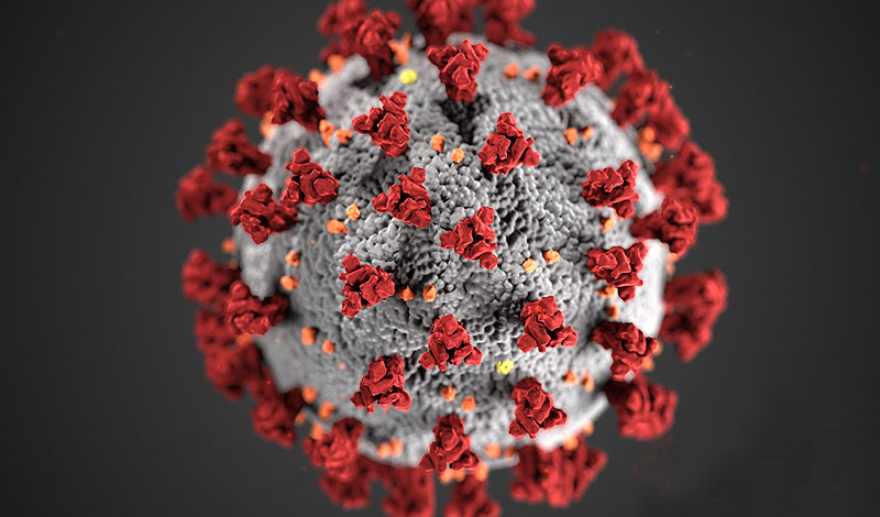 Skeptic Check: Pandemic Fear