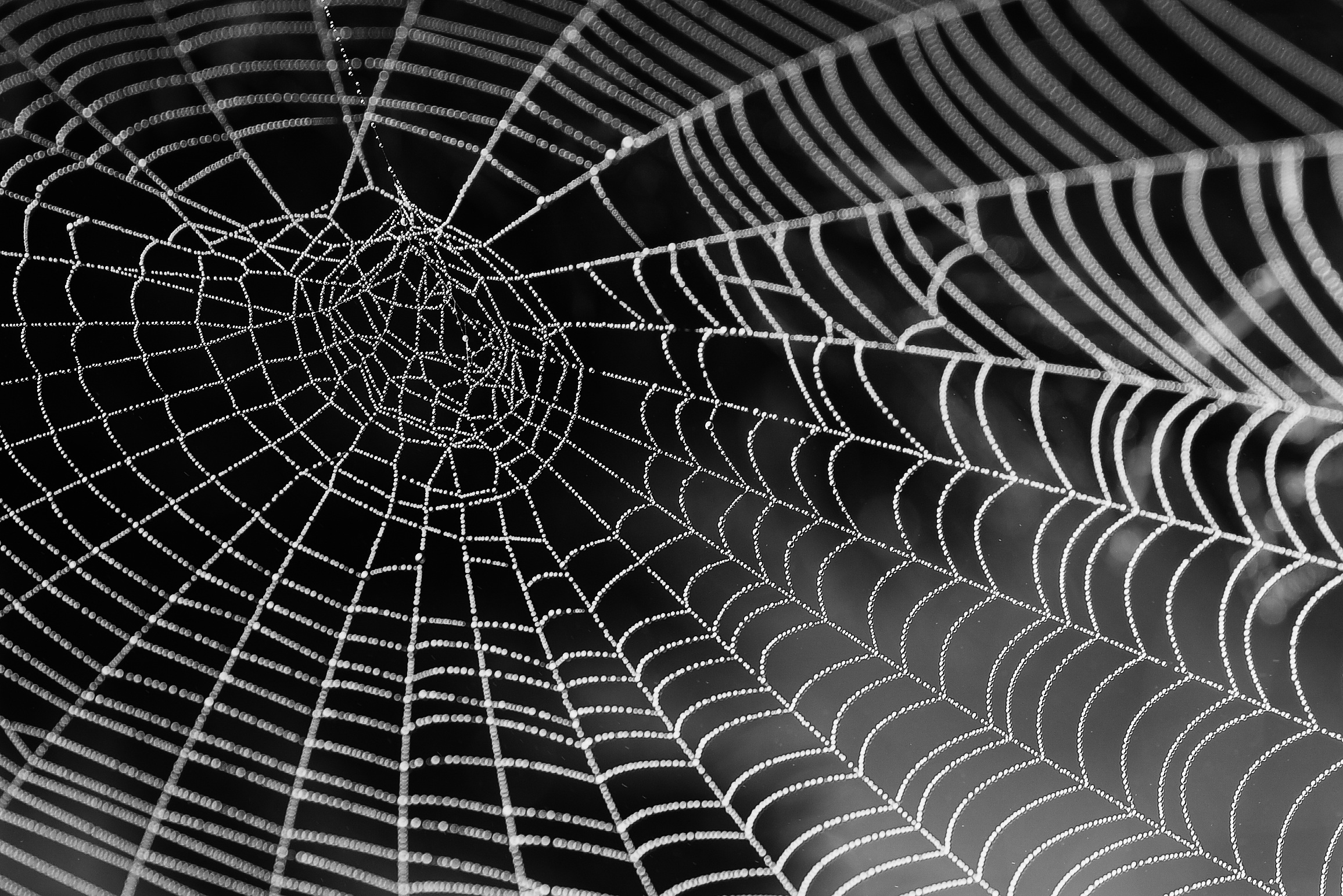 Andrew Dent / Arachnitecture