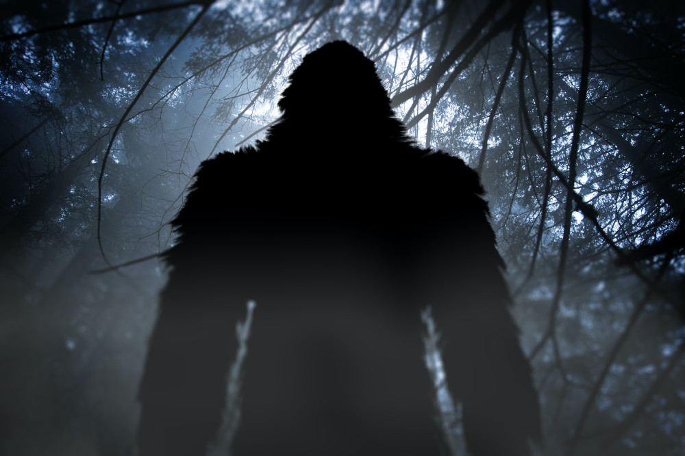 Bigfoot & Devolution