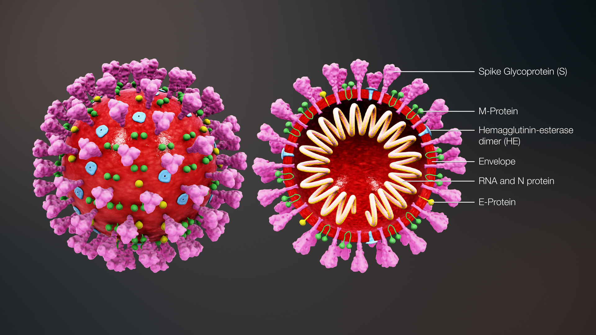 Mark Denison / How Treatments Work