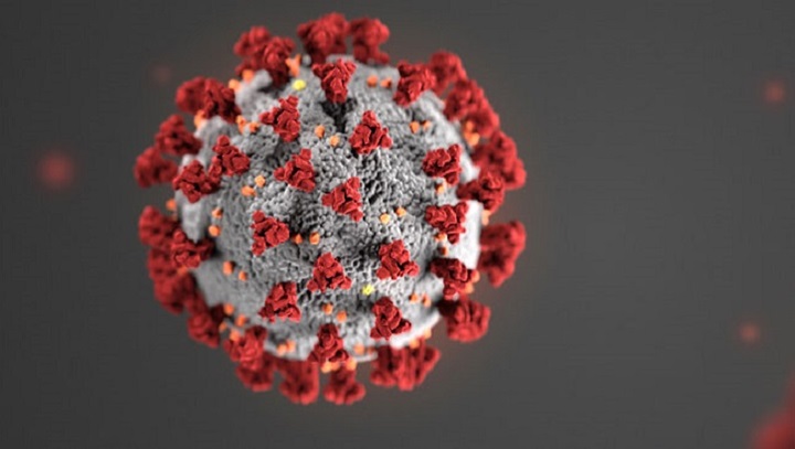 Nigel Brown / Are Viruses Alive?