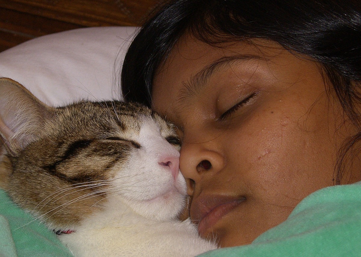 Eti Ben Simon / Healing Sleep