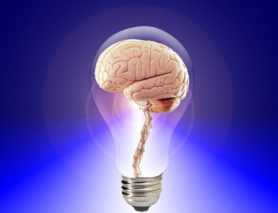 The Biology of Creativity
