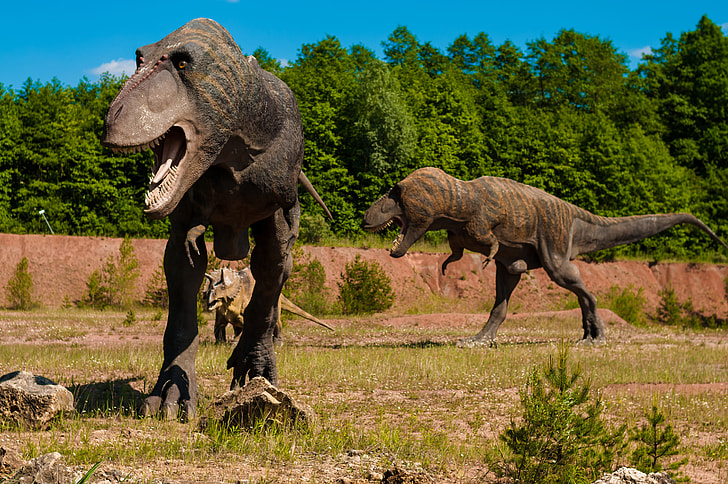 Hans Larsson – Trudging T-Rex