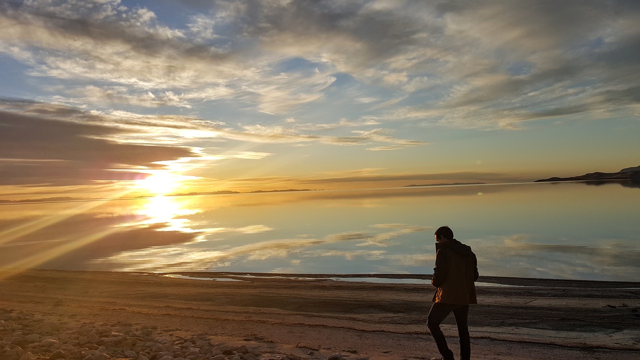 Shane O’Mara – Wonders of Walking