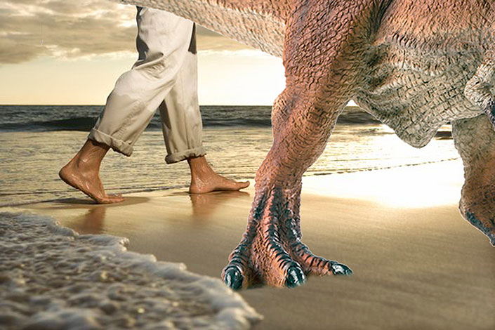 Talk the Walk