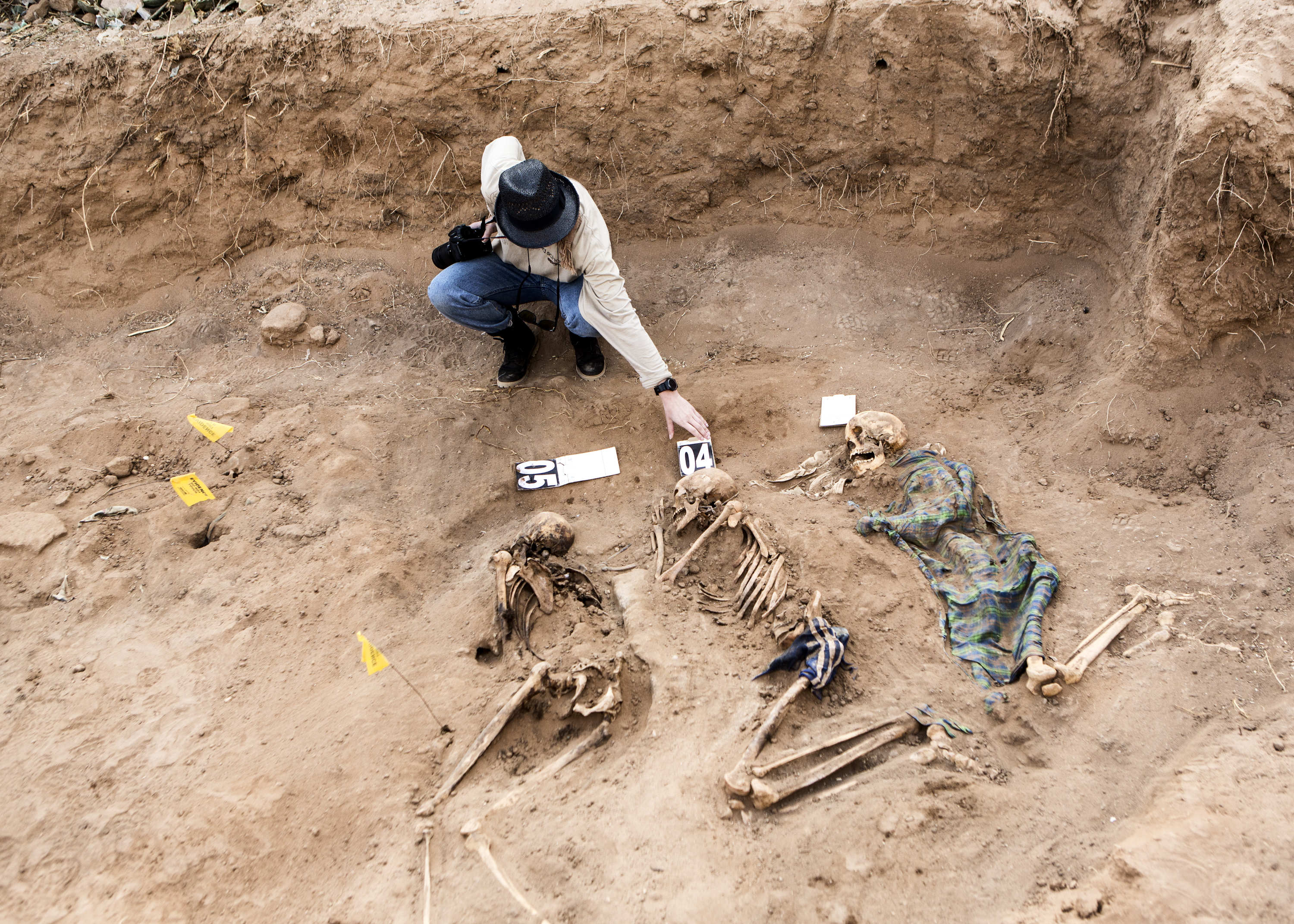 Ann Ross / Forensic Anthropology