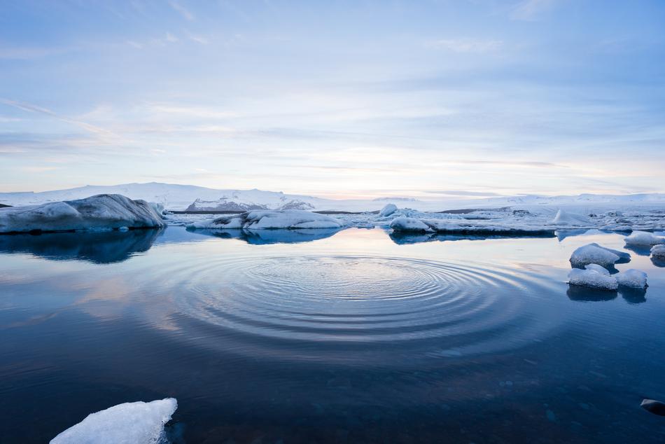 Arctic Report Card