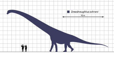 Dreadnoughtus