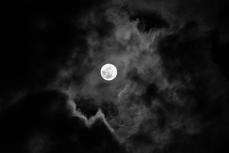 Eric Chudler / Moon Mania