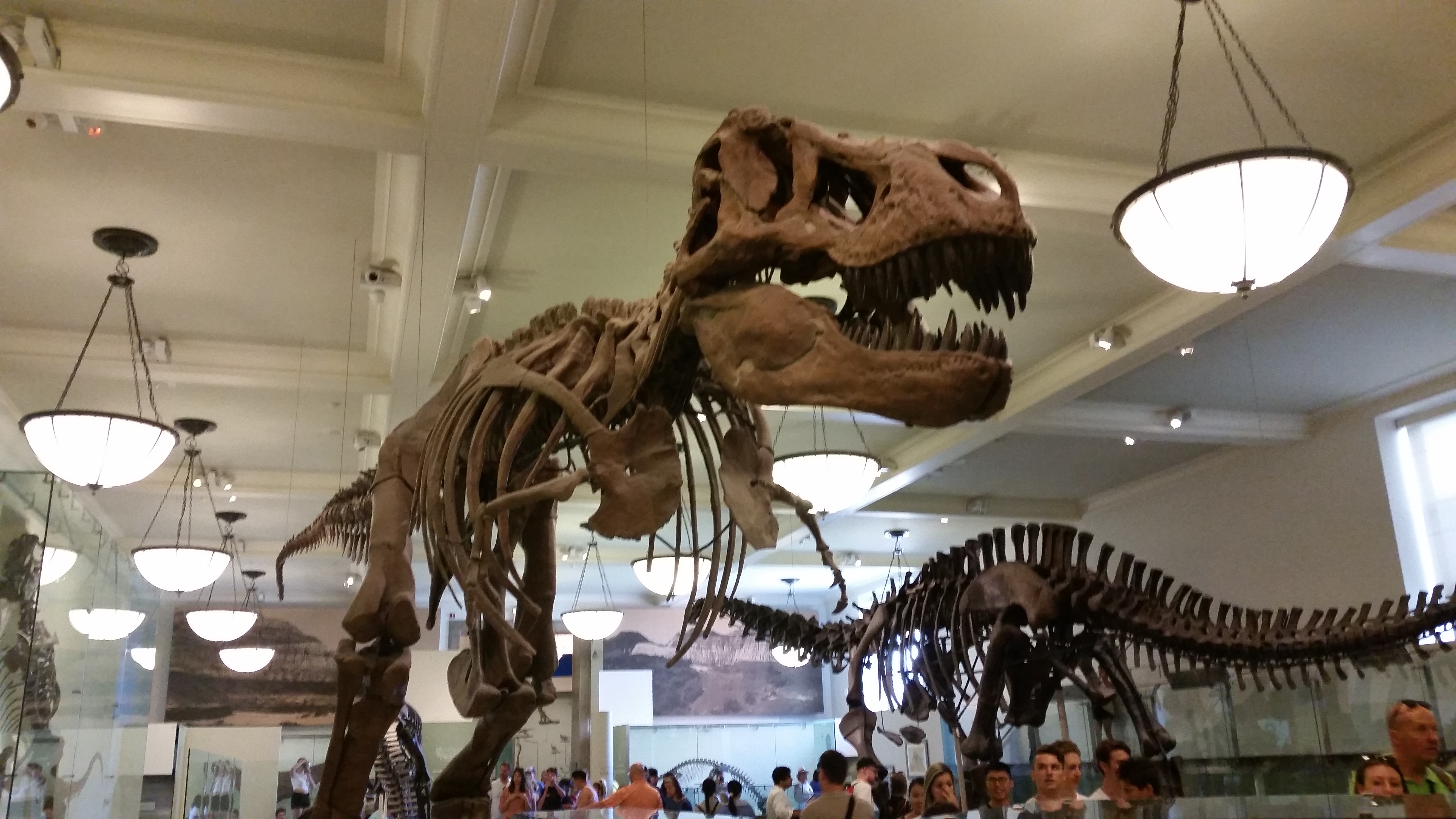Golden Age of Dinosaur Discovery