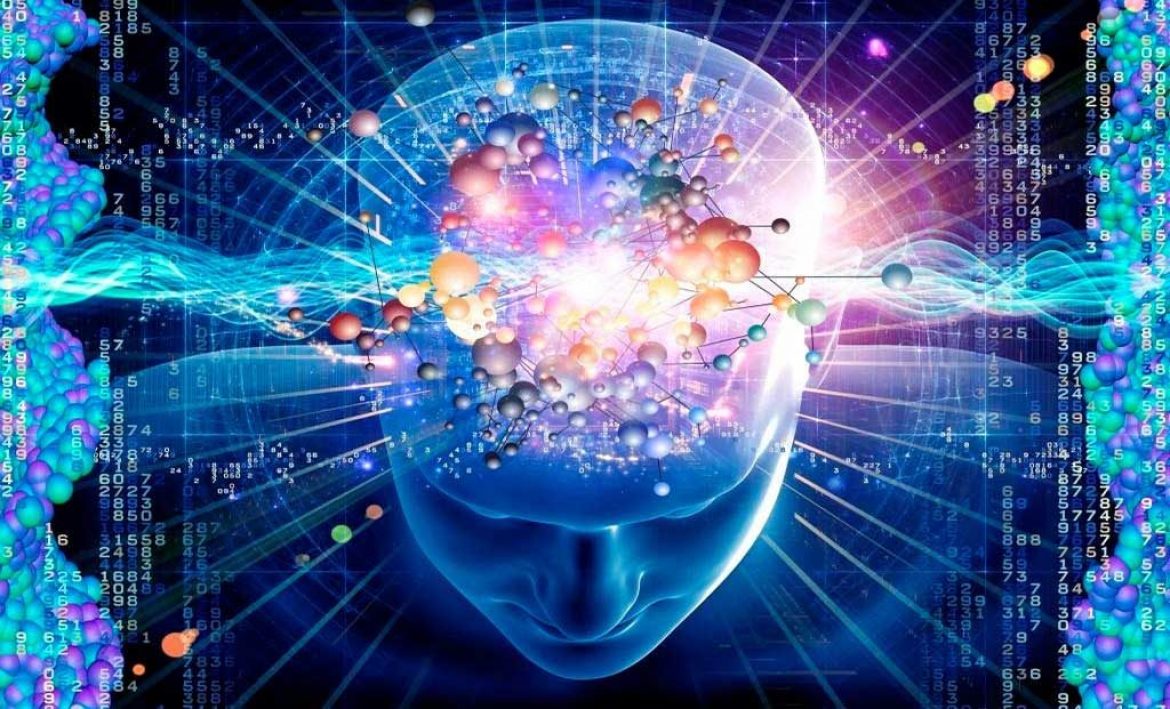 Brain Flexibility