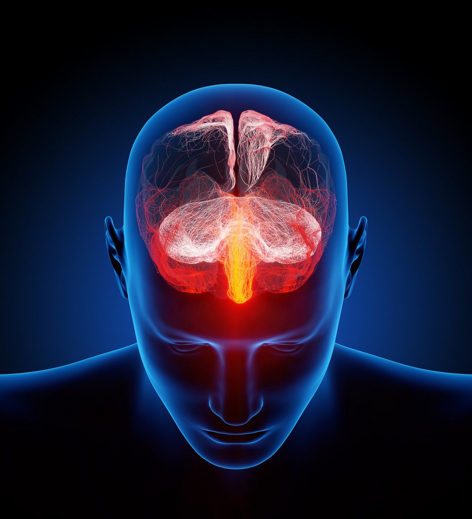 David Eagleman / Brain Technology