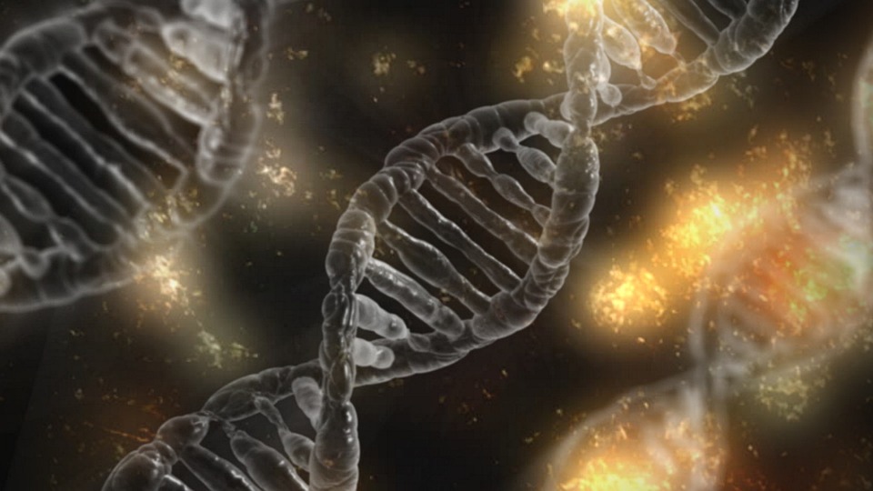Paul Davies / Genetic Messages