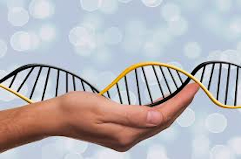 Michael Snyder / Epigenetic Influence
