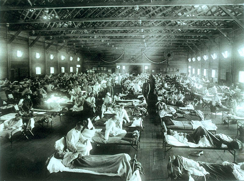 Mark Honigsbaum / The Pandemic Century