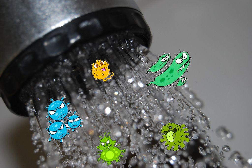 Rob Dunn / Shower Head Ecosystem