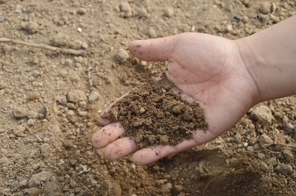 Paul Bogard / Soil Depletion