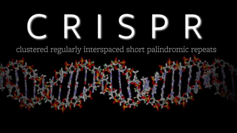 Jacob Corn / CRISPR