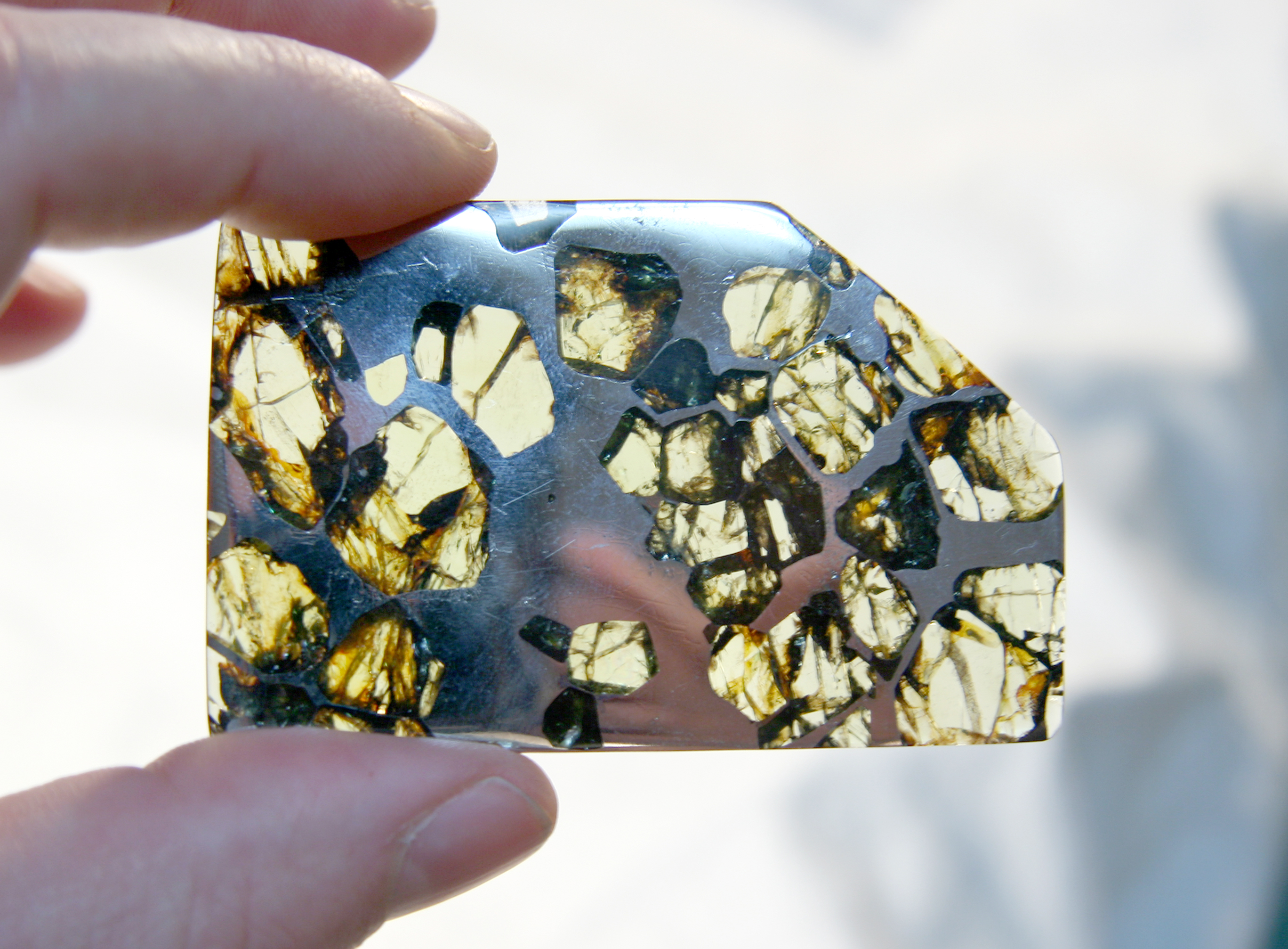 Sharon Cisneros / Meteorites for Sale